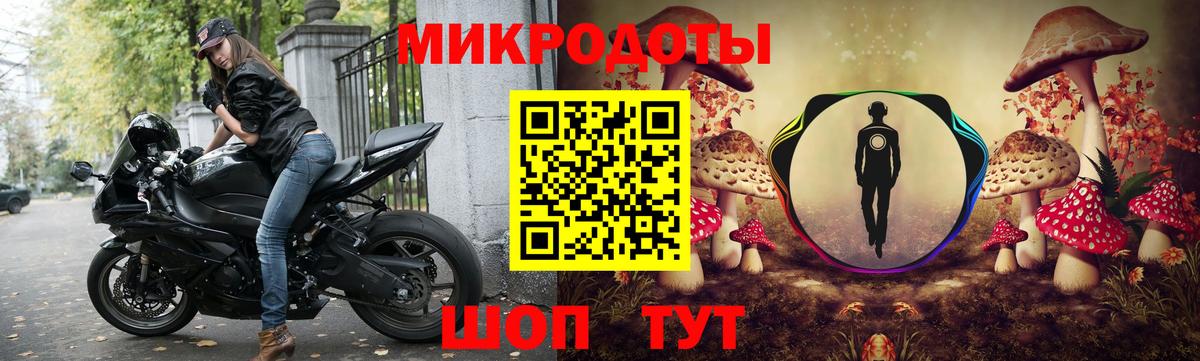 Нерюнгри  Галлюциногенные грибы Psilocybe  где можно купить   Вход с VPN 